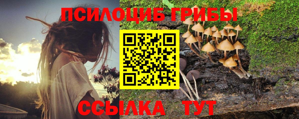 Галлюциногенные грибы Cubensis  Вход с VPN  где купить   Еманжелинск 