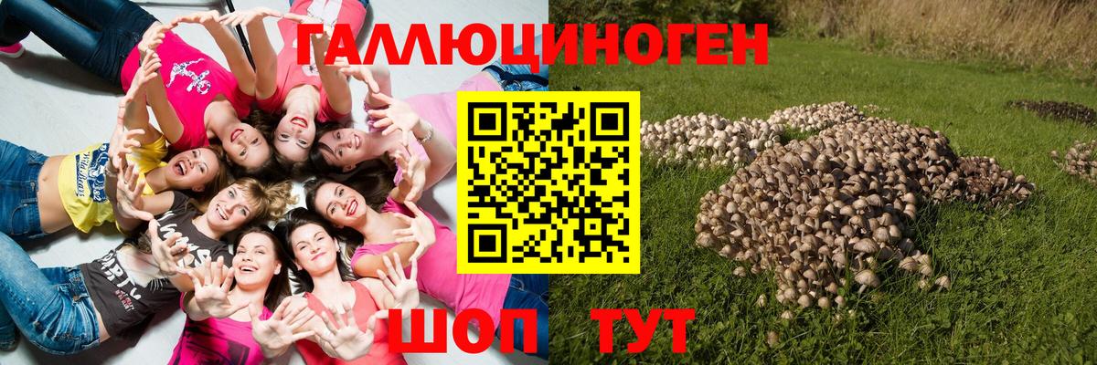 Псилоцибиновые грибы мицелий Еманжелинск